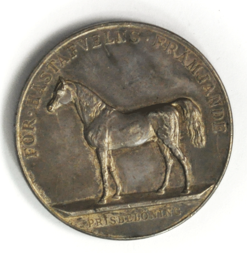 Antique Sweden Ocar II Equestrian Silver Medal 43mm Rare
