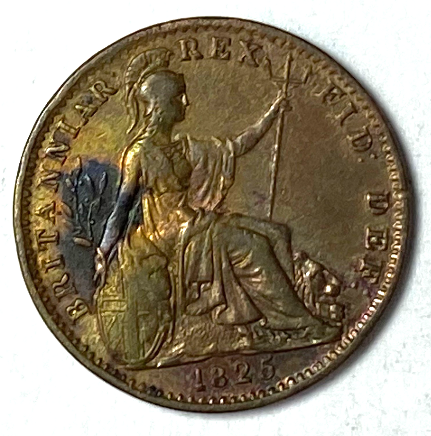 46351556