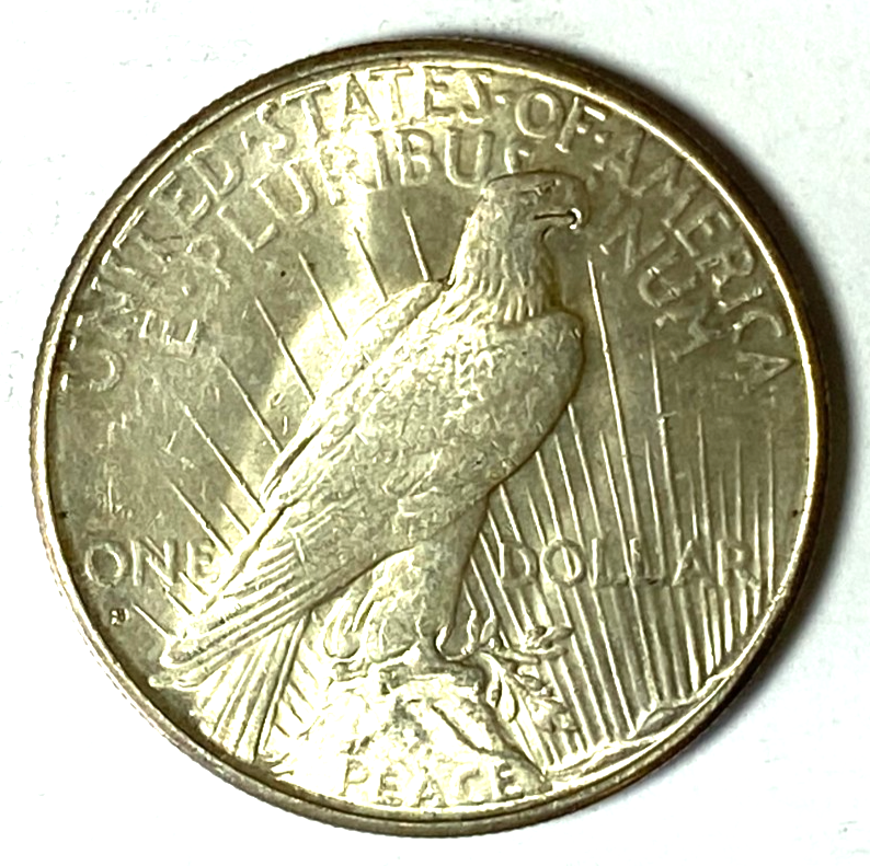 47491304