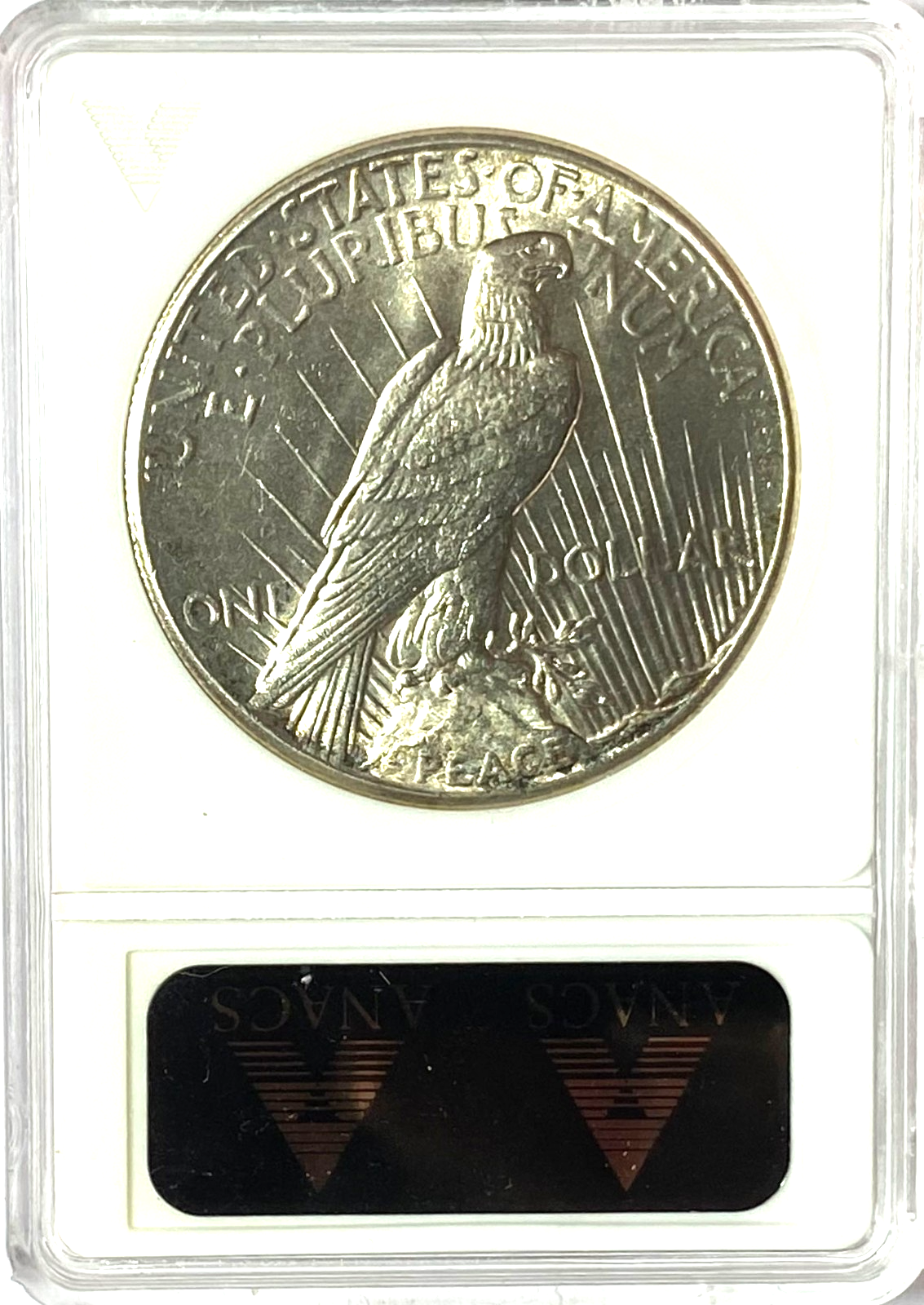 46600561