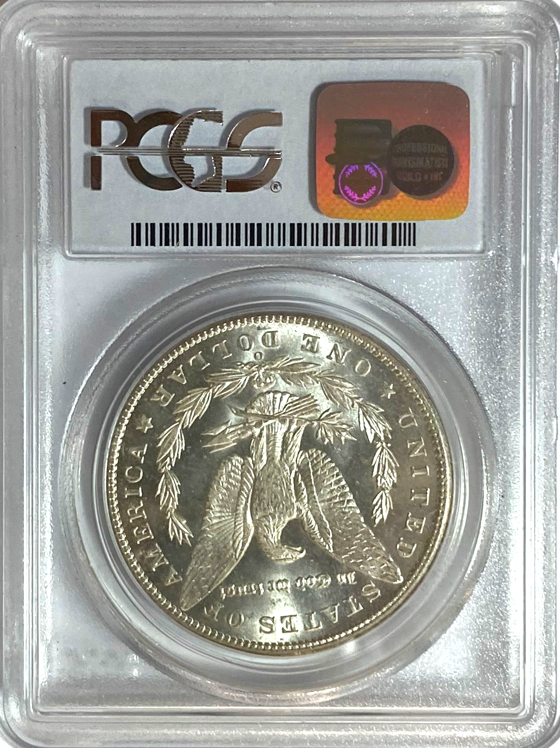 45666159