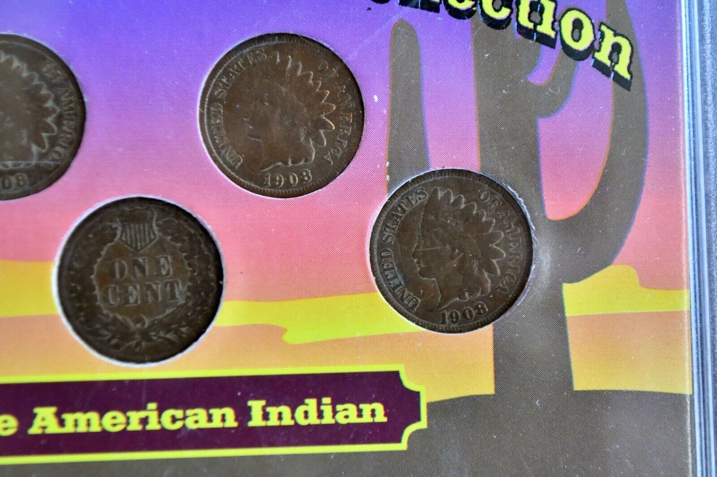 Two Centuries of Indian Head Pennies 1899-1908
