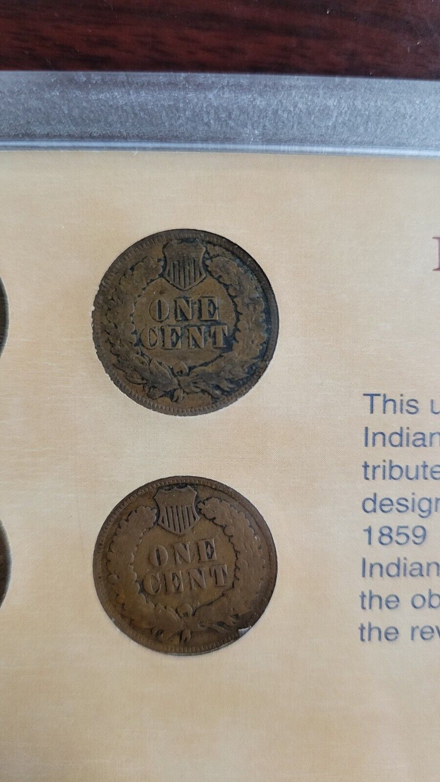 Indian Head Penny Collection - Coins of the American Frontier 1900, 06, 05, 04