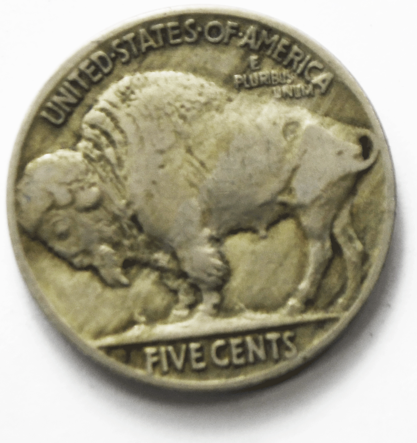 1919 5c Buffalo Nickel Five Cents Philadelphia