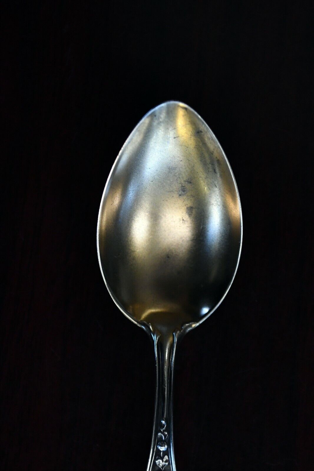 Kansas Souvenir Spoon by Mechanics Sterling Co. 4" Goldwash Bowl .31 oz.