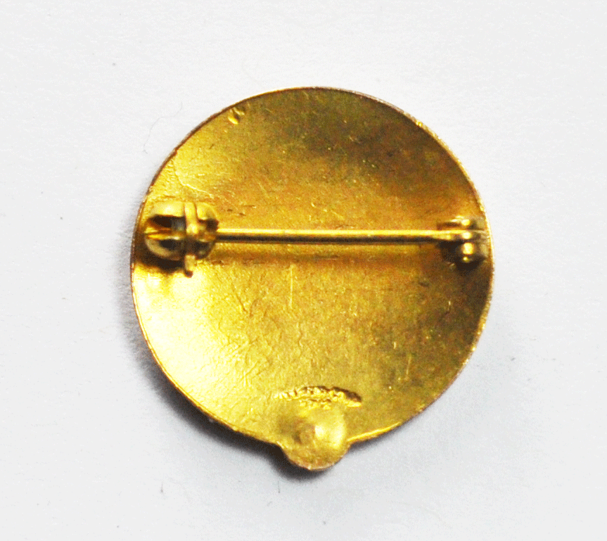 10k Gold Spelman Memorial Hospital Smithville Missouri Service Humanity Pin