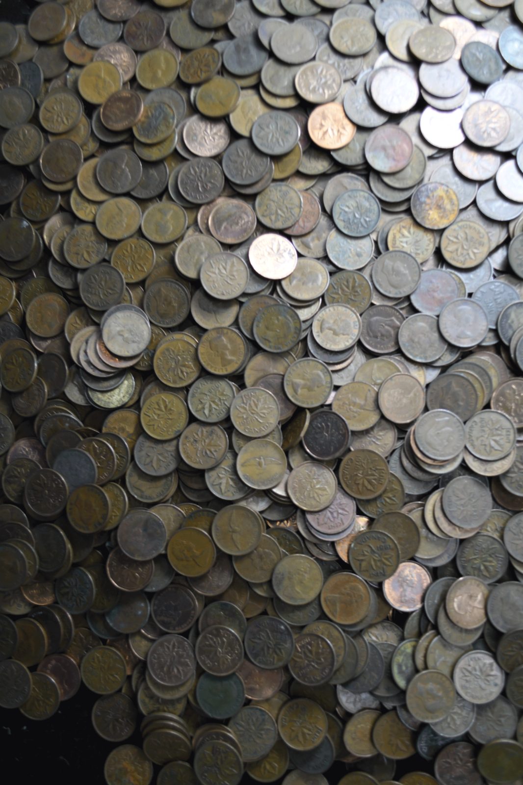 1921-1996 1c Canada Small One Cent Lot Bag of 5000 Bronze Pennies 35lbs