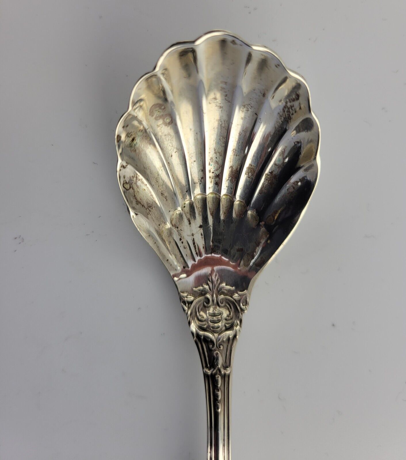 Reed & Barton Francis I Sterling .89oz. Small Sugar Shell Spoon 5 3/8" New Mark