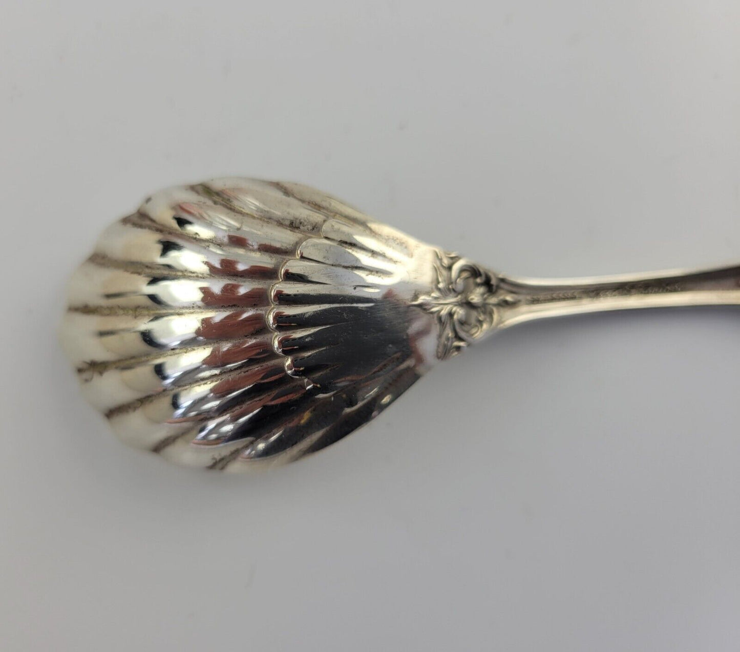 Reed & Barton Francis I Sterling .89oz. Small Sugar Shell Spoon 5 3/8" New Mark