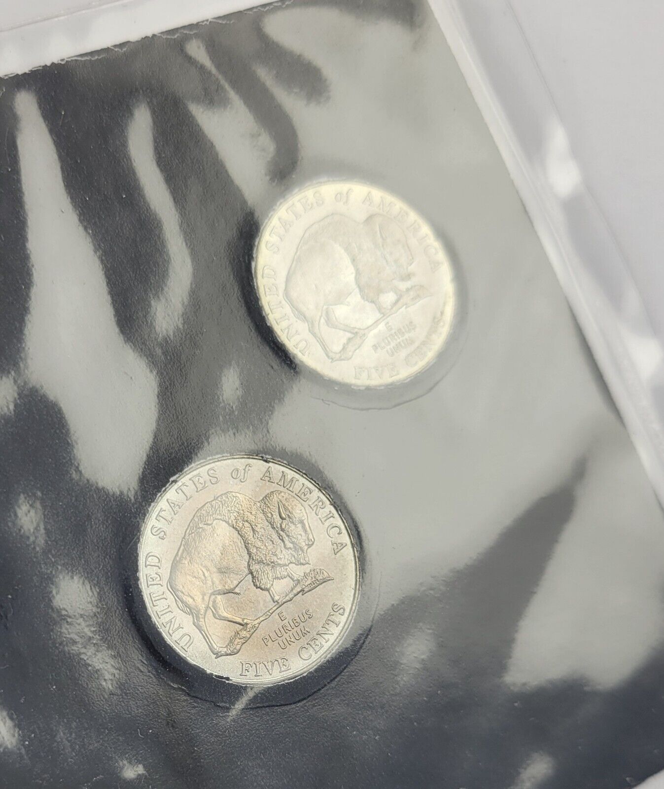 2005 P & D American Bison Nickel Coin Set From First Commemorative Mint