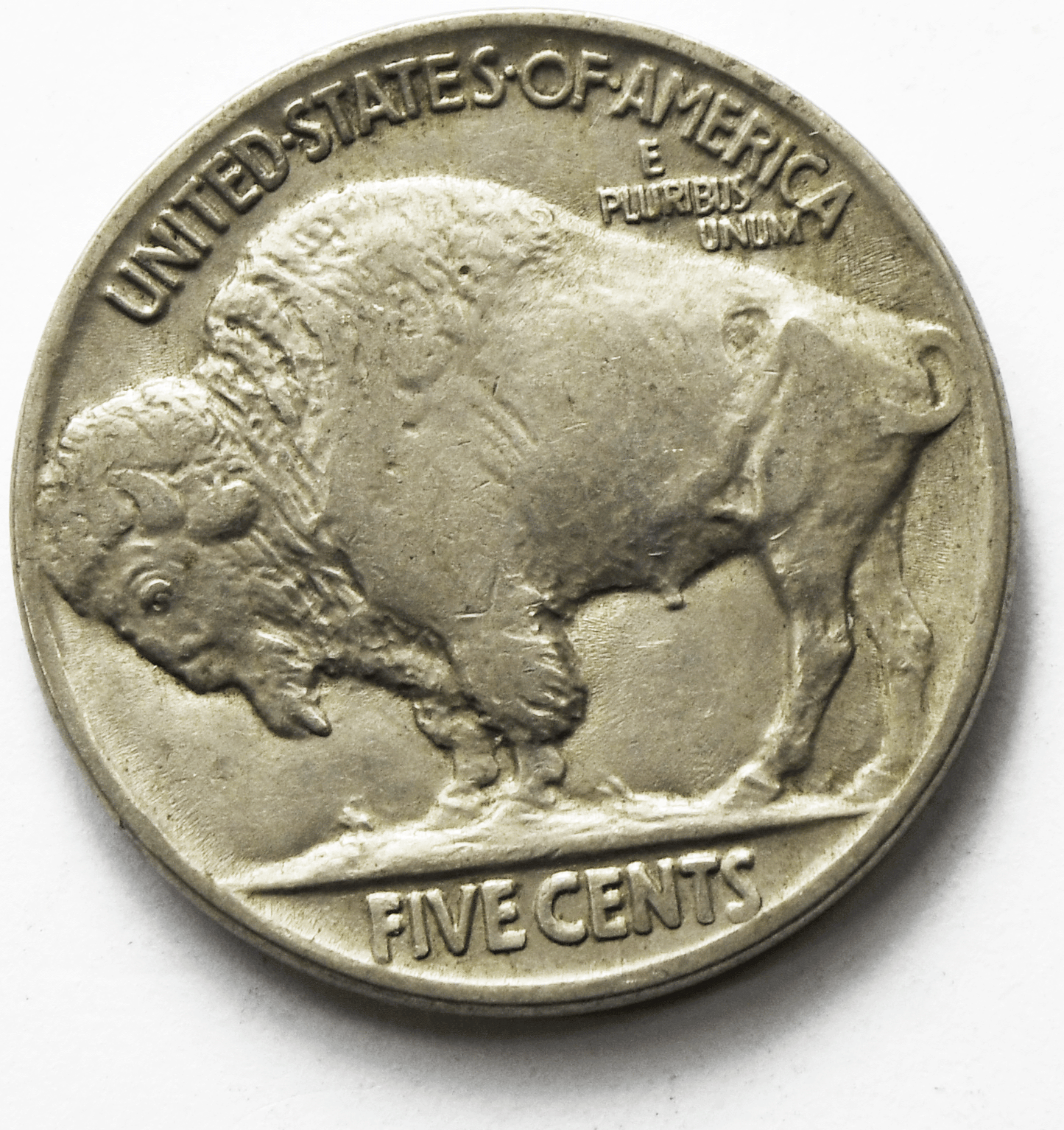 1925 5c Buffalo Nickel Five Cents Philadelphia Full Horn