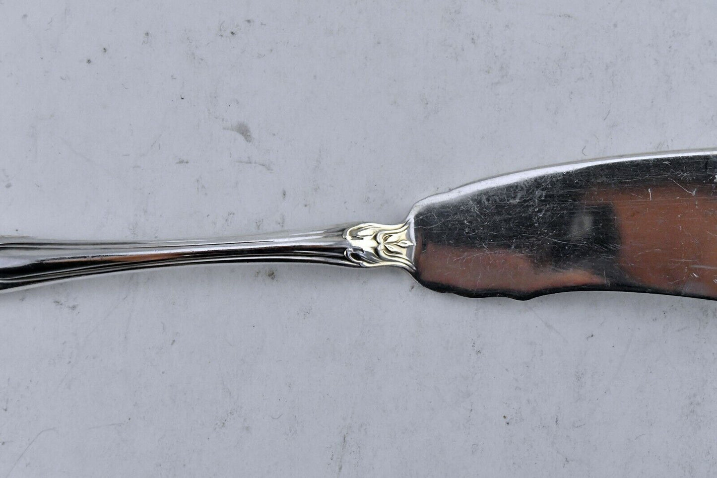 Chateau Rose by Alvin Sterling Silver 7 1/8" Solid Master Butter Spreader 1oz.