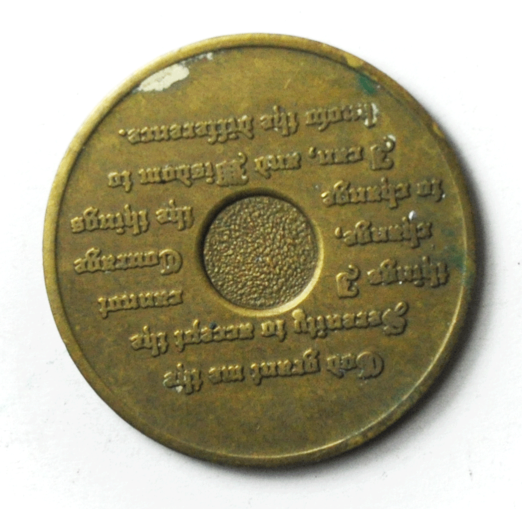 One 1 Year Recovery Chip Own Self Be True Serenity Prayer Medal AA 35mm