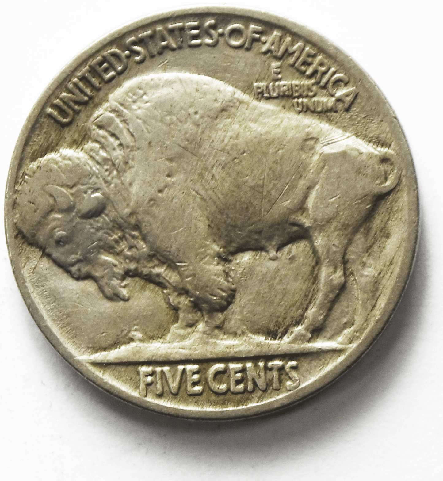 1916 5c Buffalo Nickel Five Cents Philadelphia Full Horn