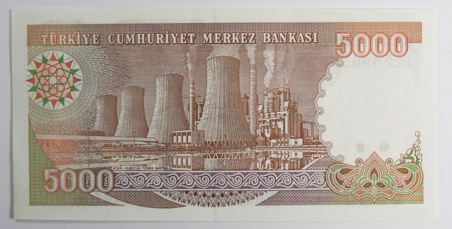1990 Turkey 5000 Lira Uncirculated Banknote 122590554