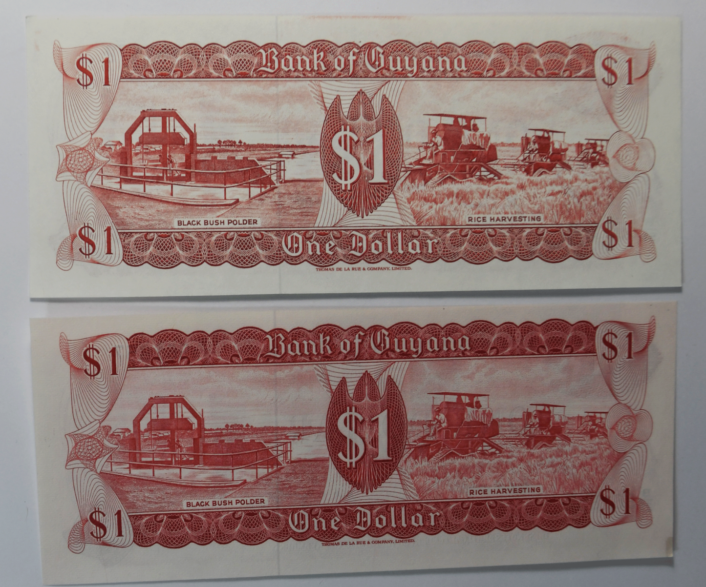 1992 Bank of Guyana $1 One Dollar Uncirculated Banknotes 555172 961857