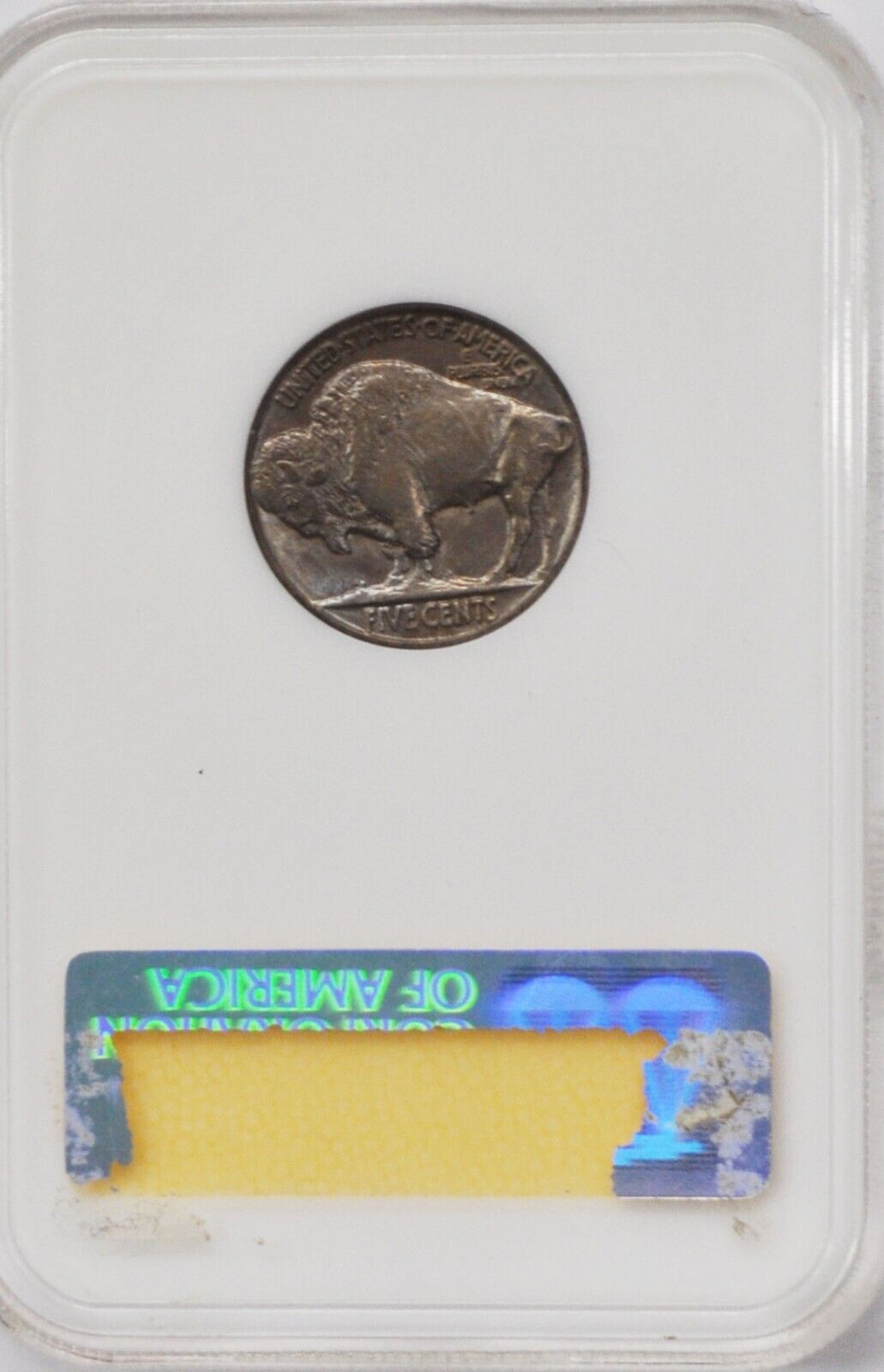 1937 5c Buffalo Nickel Rare Five Cents Philadelphia NGC MS66 Low Cert Old Holder