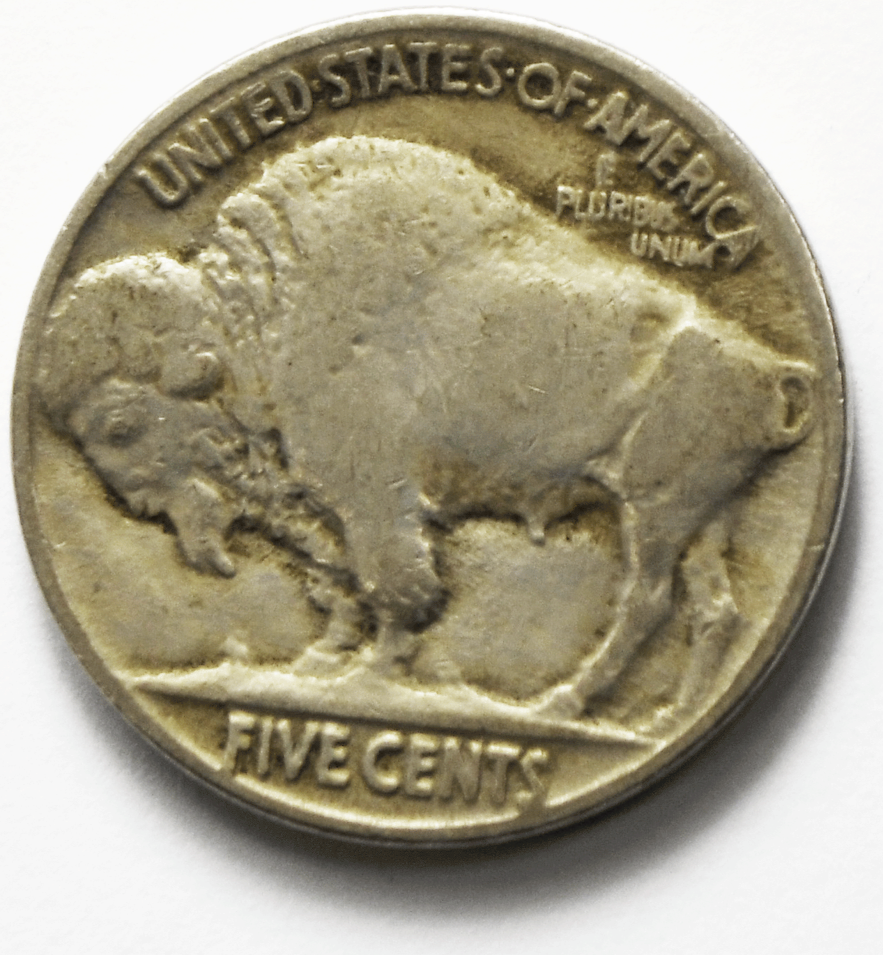 1924 5c Buffalo Nickel Five Cents Philadelphia