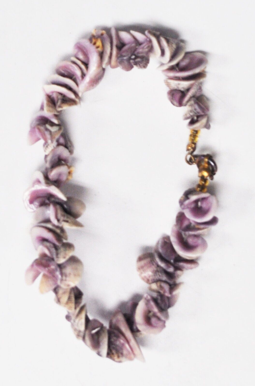 Gold Plated White Purple Sea Clam Shell Bead Bracelet 18mm 8-1/2"