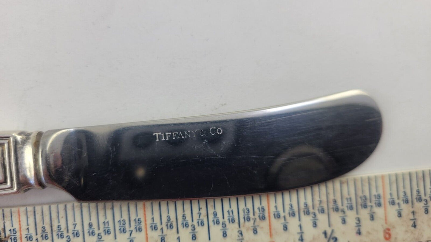 Hamilton aka Gramercy By Tiffany and Co. Sterling Hollow Butter Spreader 6 1/8"