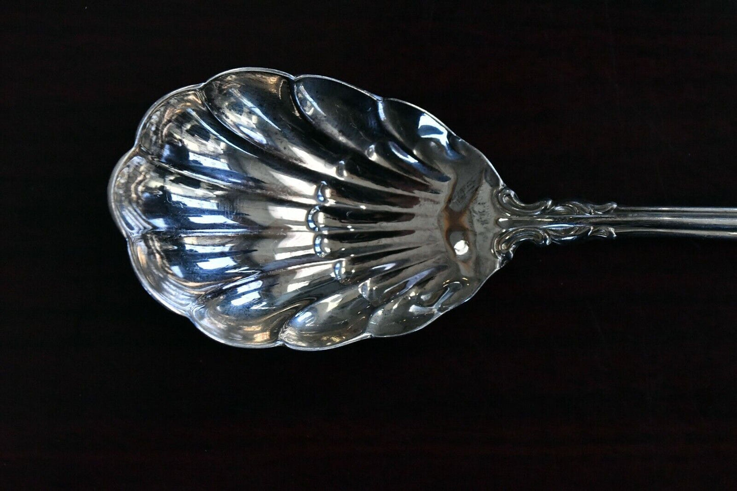 Eighteenth Century by Reed & Barton Sterling 6 1/4" Shell Sugar Spoon 1.3 oz.