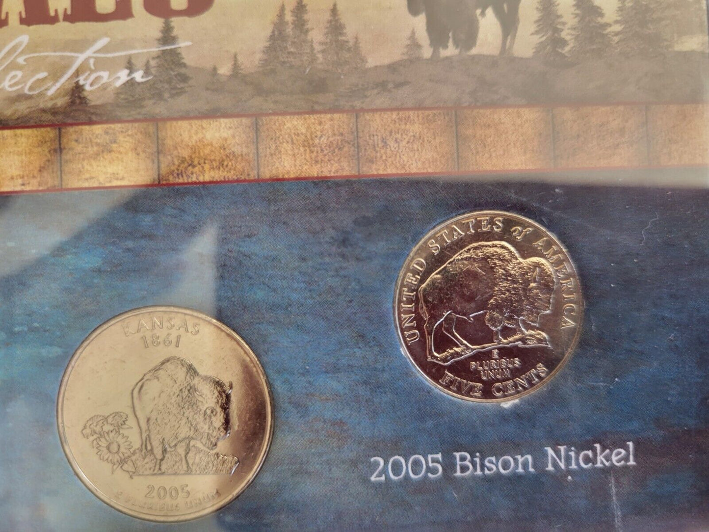 Buffalo Coin Collection Buffalo Nickel,Statehood Quarter, and Bison Nickel