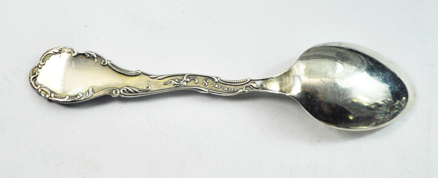 Sterling Silver Shepard Waterfall Enamel Souvenir Demitasse Salt Spoon 3.75"