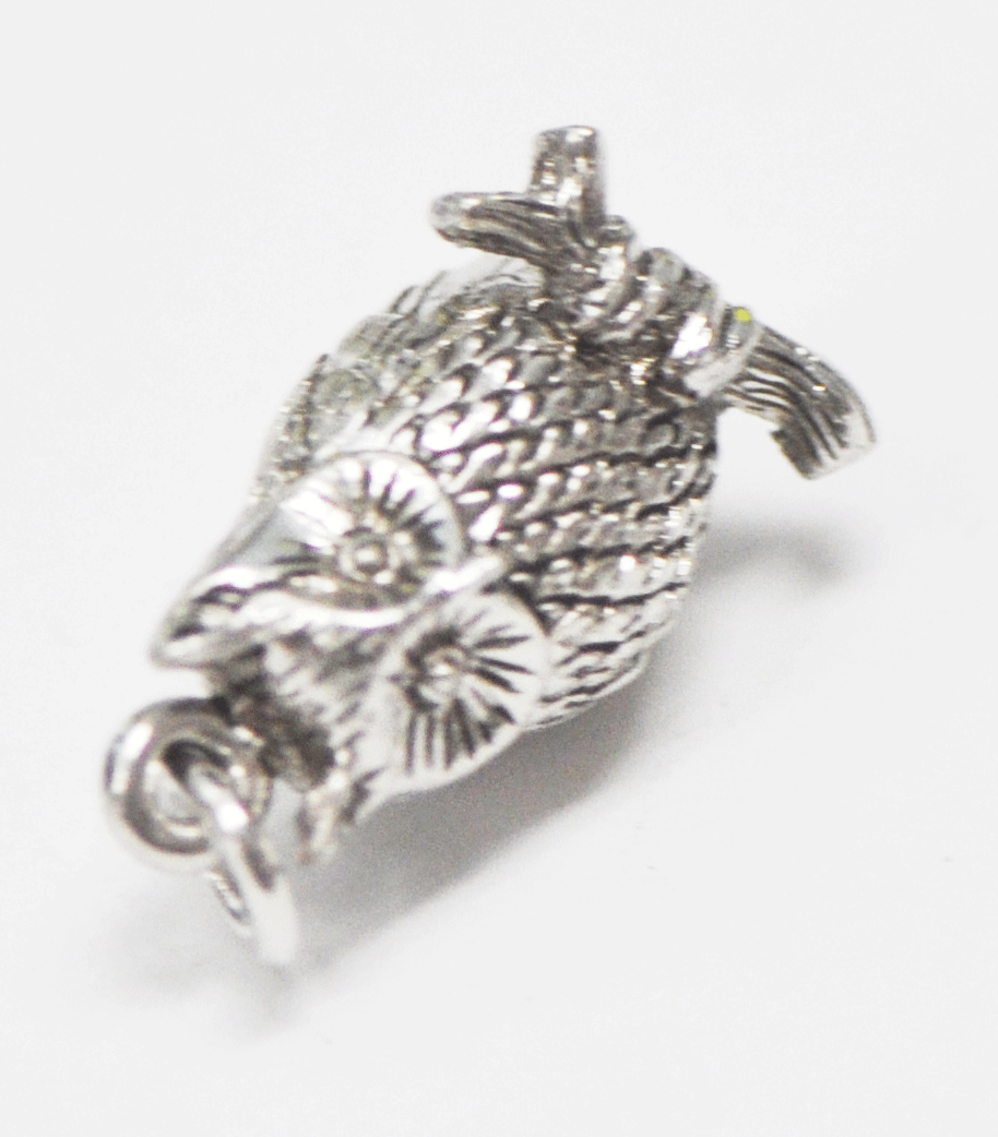 Sterling Silver Kinney Owl Charm 18mm