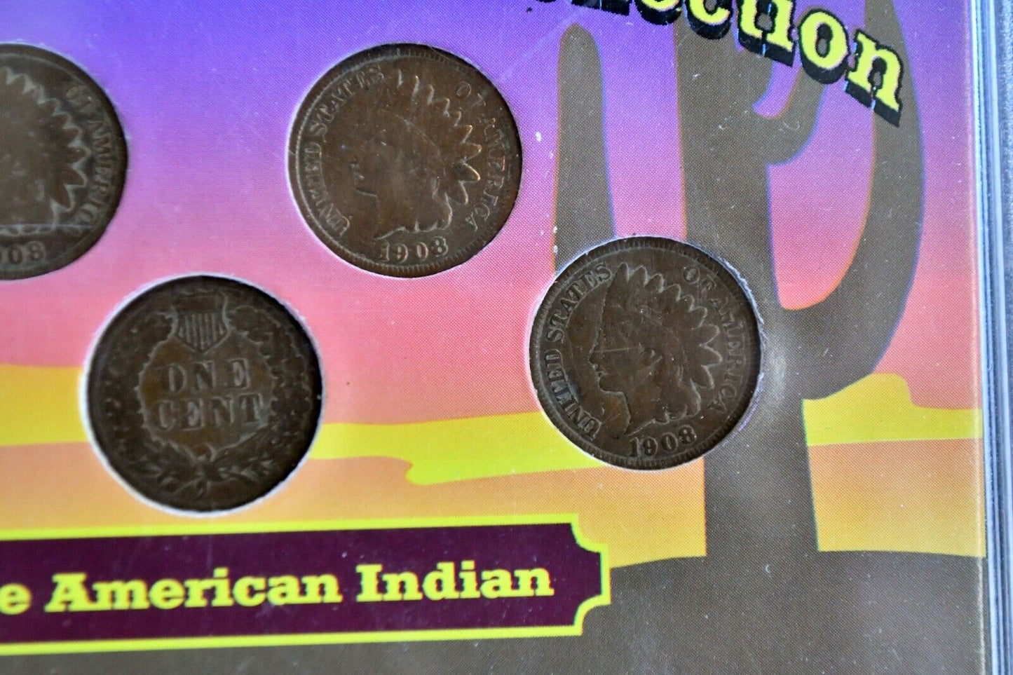 Two Centuries of Indian Head Pennies 1899-1908