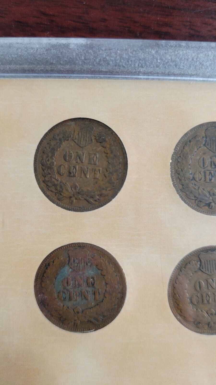 Indian Head Penny Collection - Coins of the American Frontier 1900, 06, 05, 04