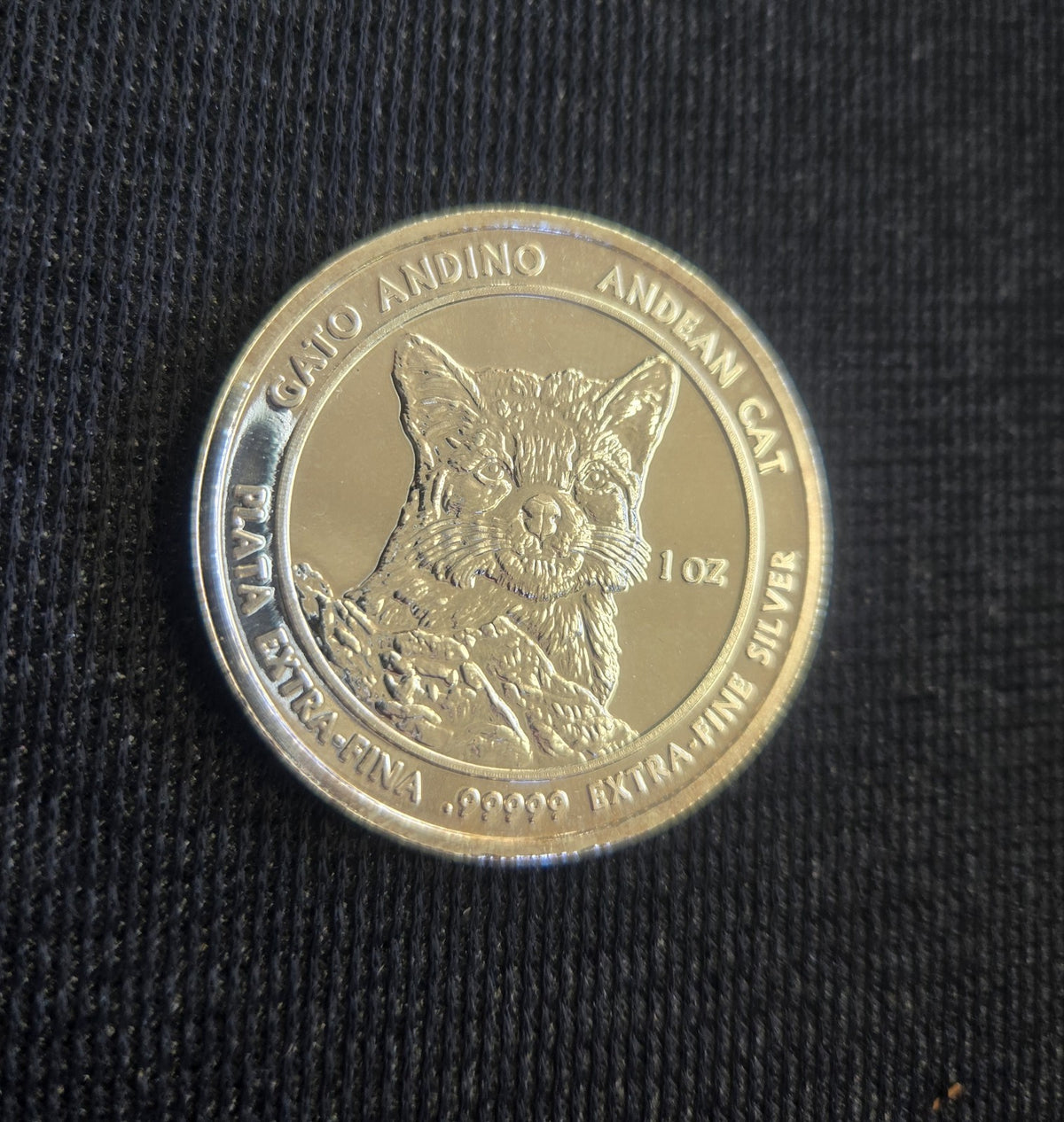 2012 Andean Cat Royal Silver Co. .99999 Fine Silver Gato Plata - Image 5