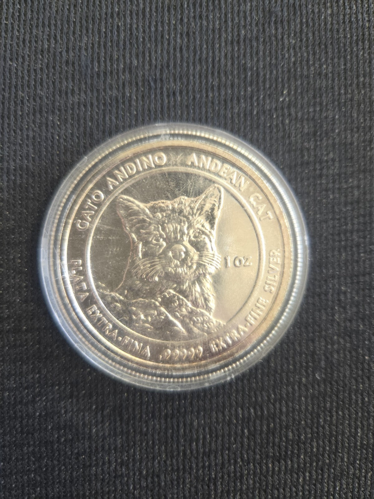 2012 Andean Cat Royal Silver Co. .99999 Fine Silver Gato Plata - Image 7