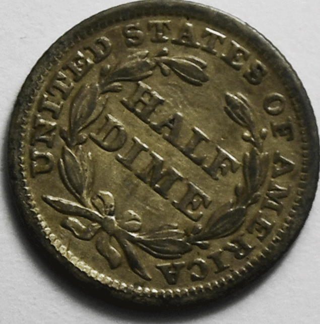 46425864