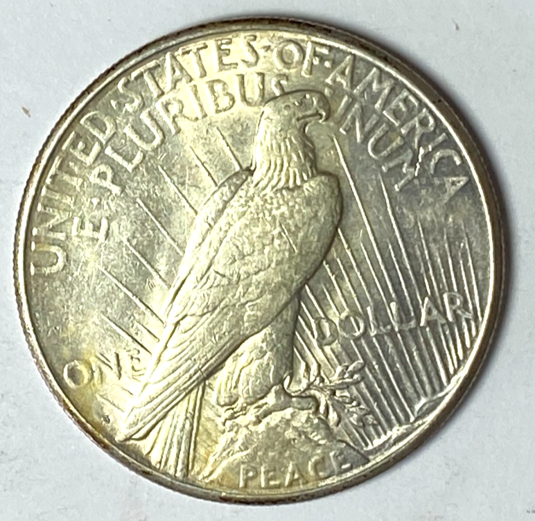 47491306