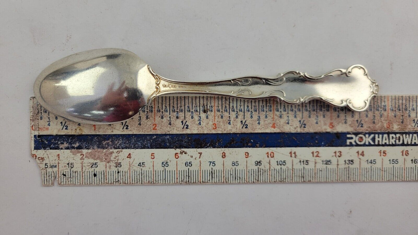 January Aquarius Snow Drop Sterling  Silver 5 7/8" Souvenir Spoon .84oz. Wallace