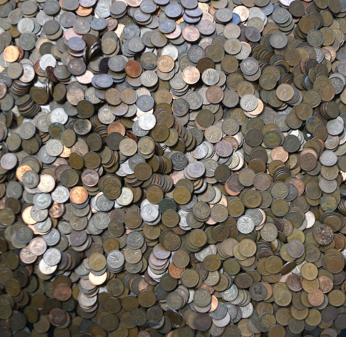 3900pc Canada 1c One Cent Penny Lot $39 Face Value 1920-Present