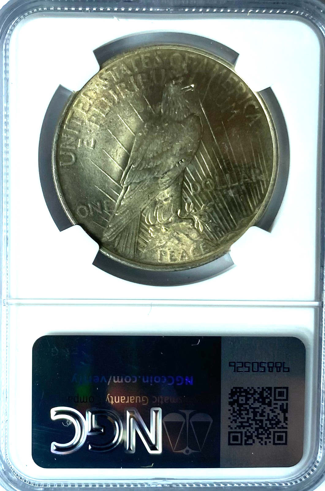 45674307