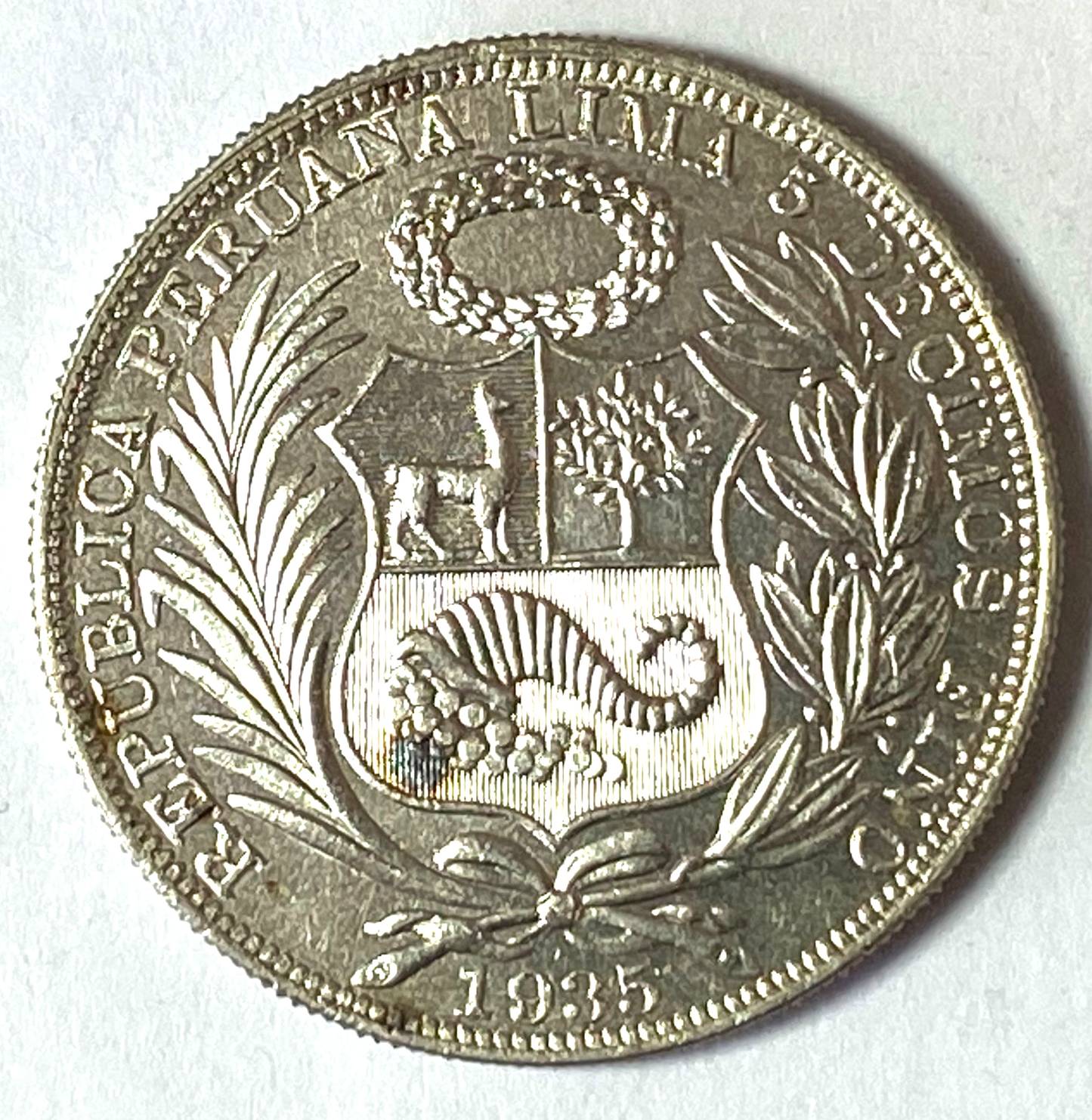 46547444