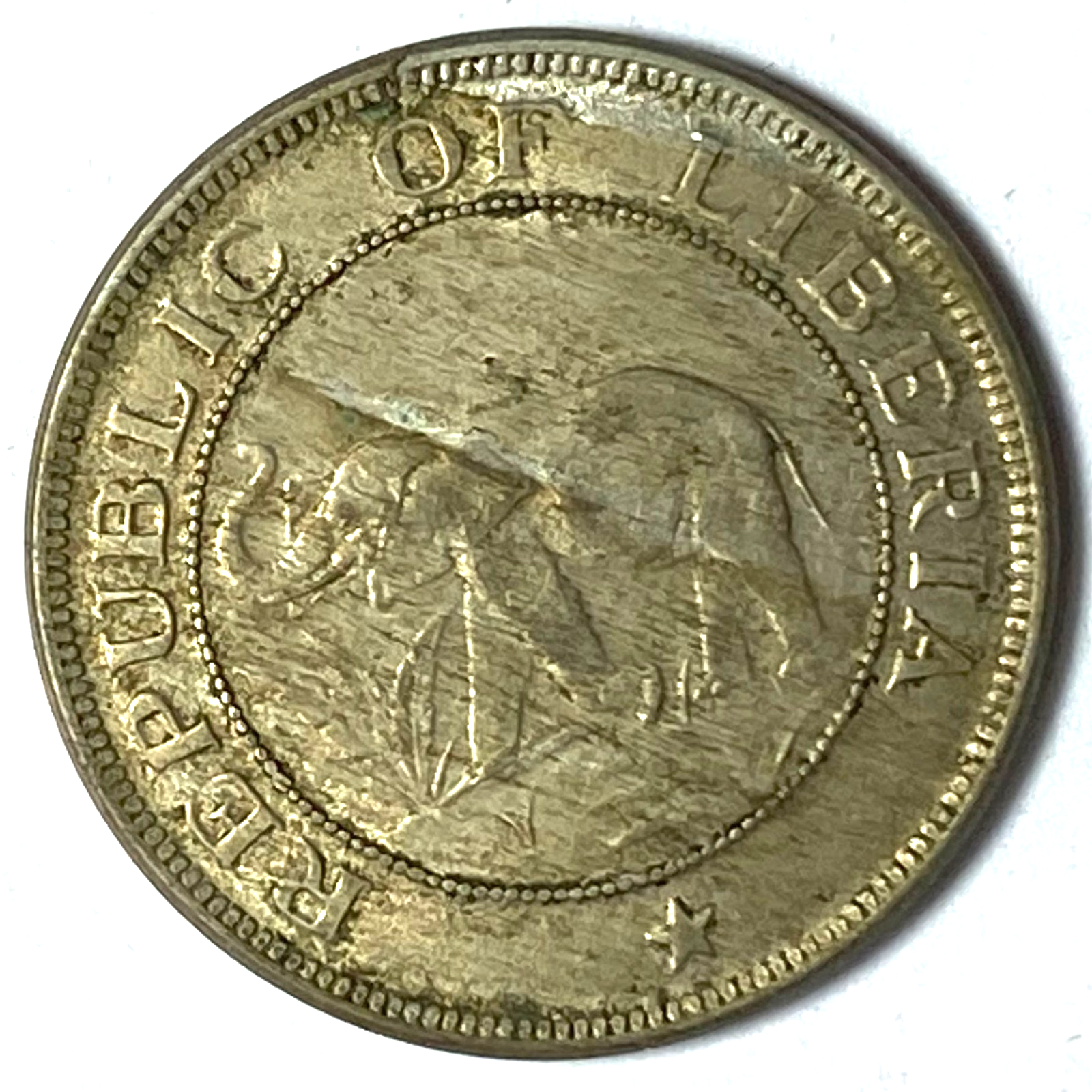 46351555