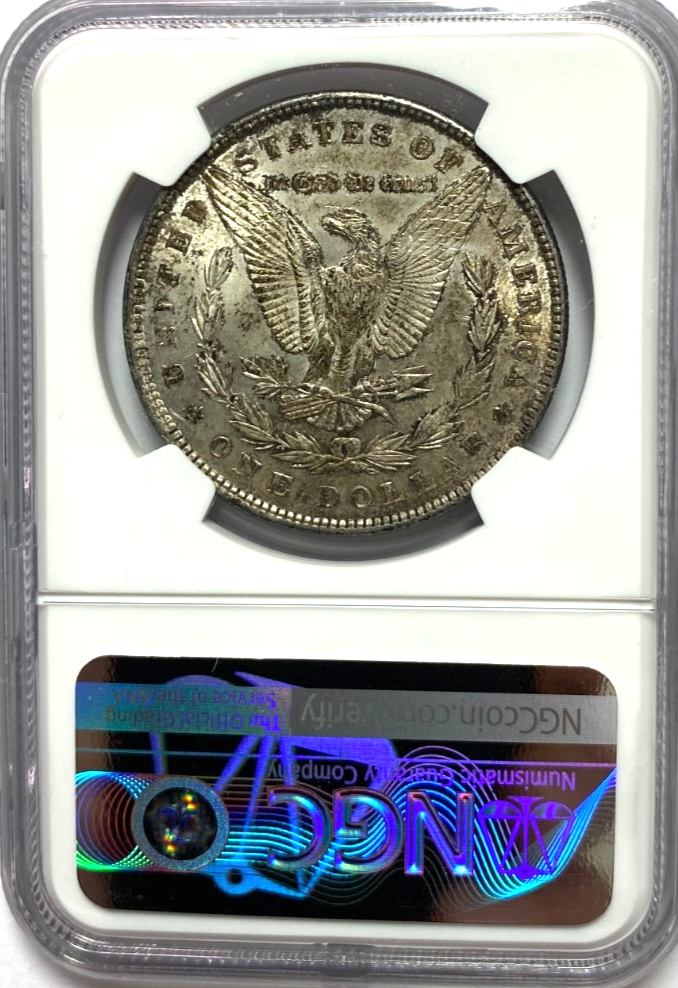 47167004