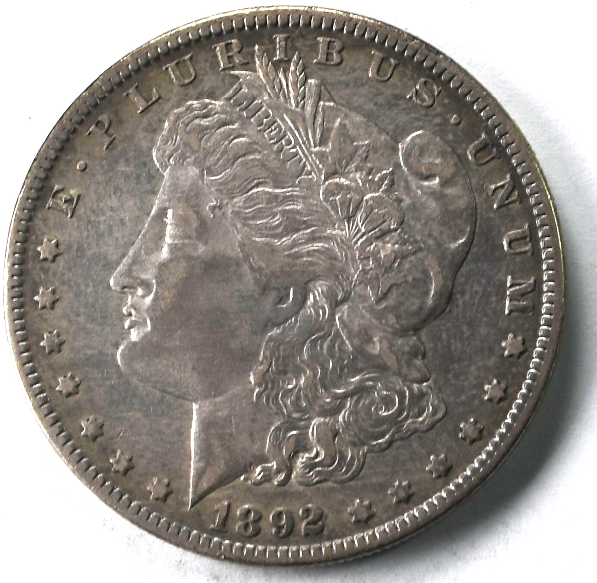 47849664