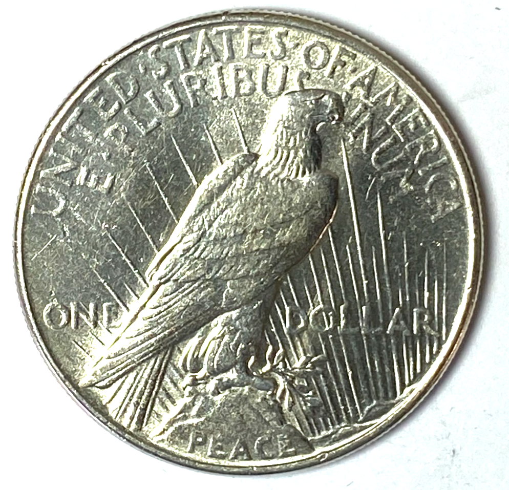 47742303