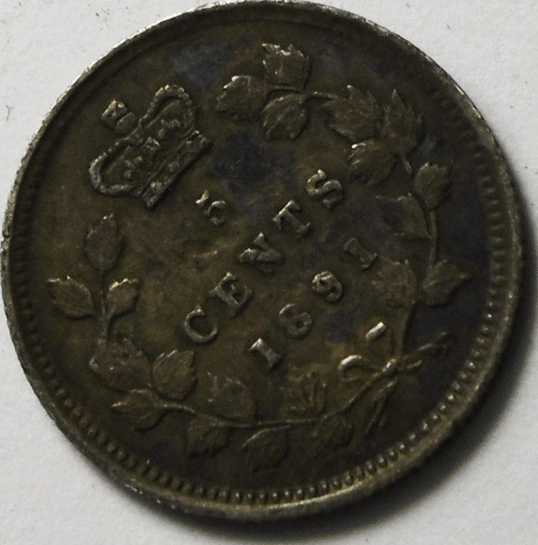 46425749