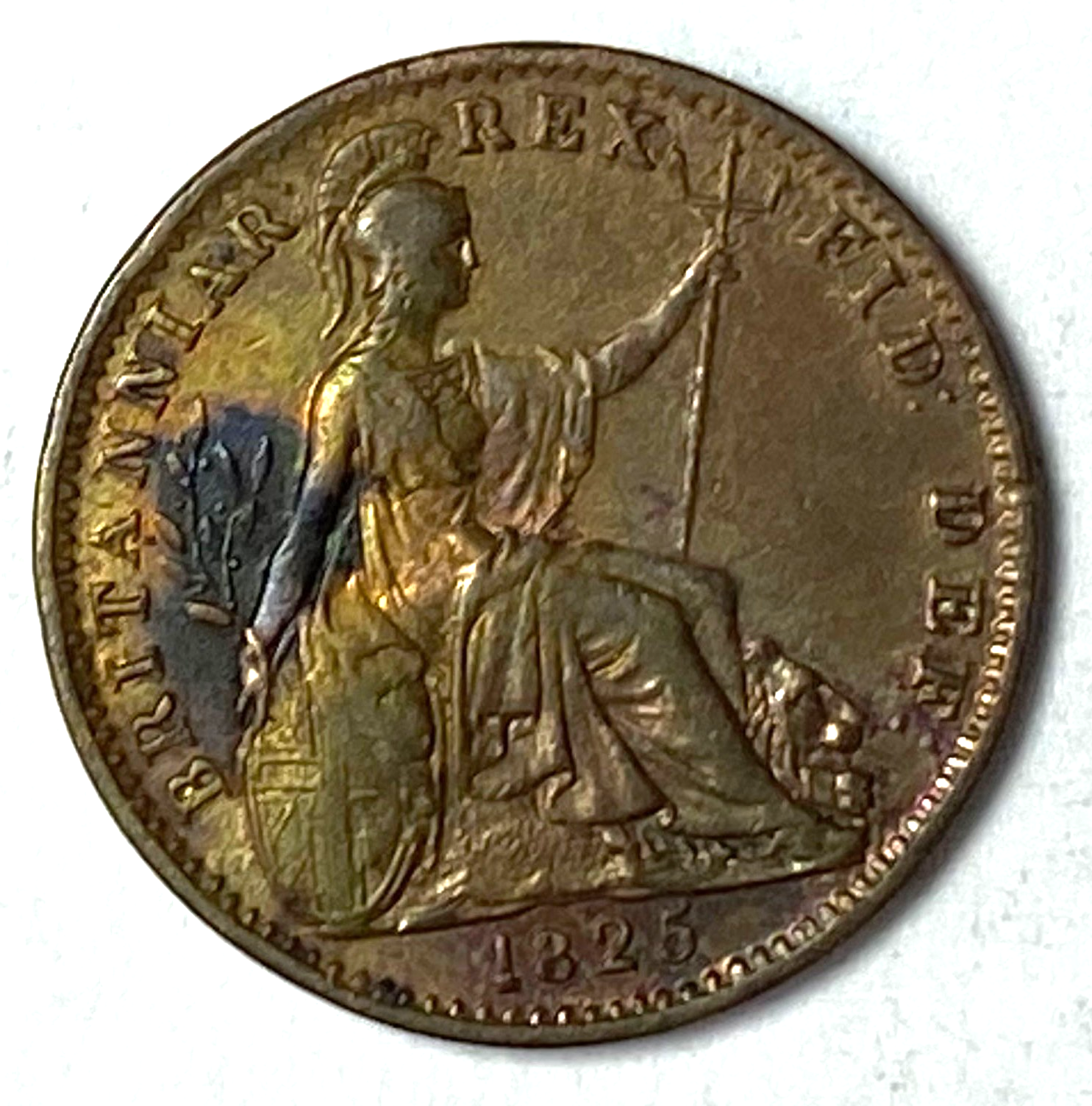 46351556
