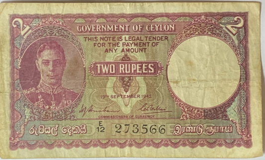 47081067