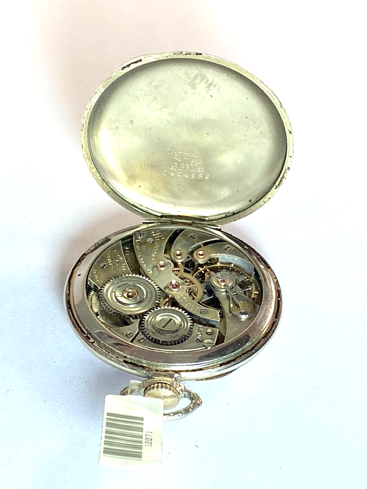 47350020