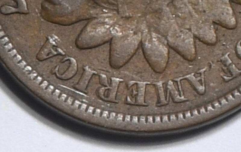 46425012