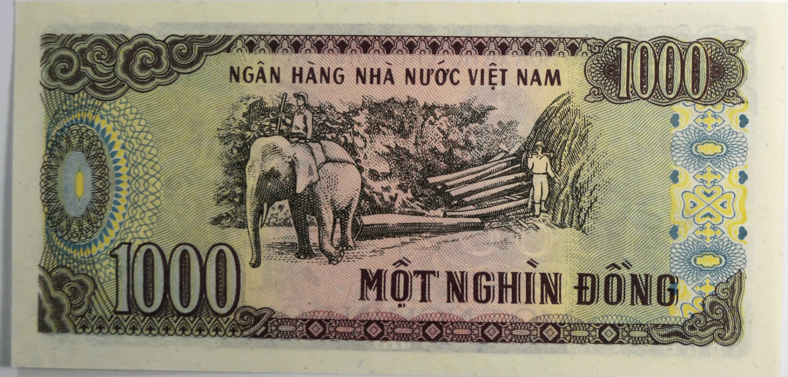 46637433