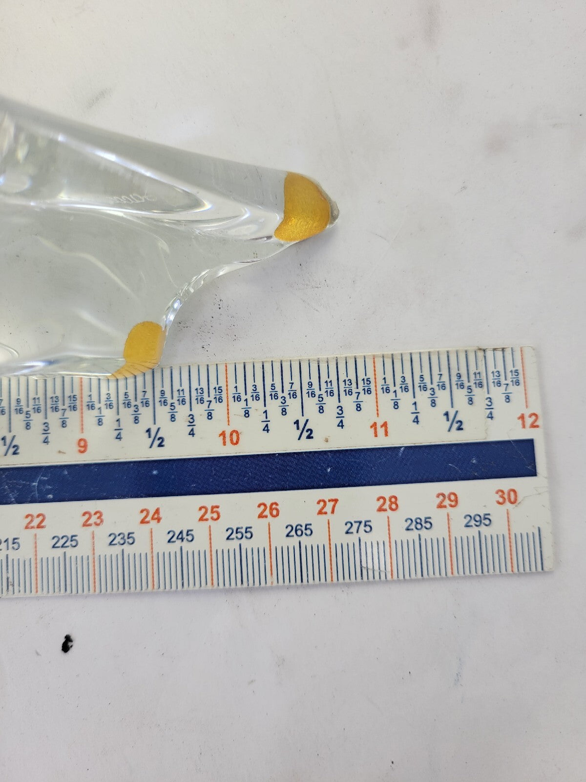 46425902