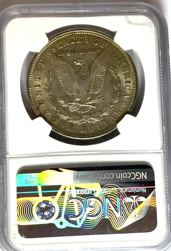 47176978